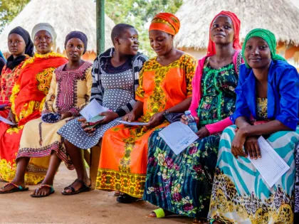 Strategy Report: Engaging the private health service delivery sector through governance in mixed health systems