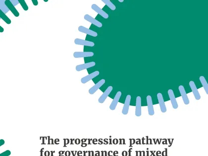 The Progression Pathway for Governance of Mixed Health Systems